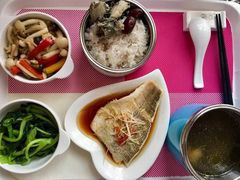 -贝贝乐自营月嫂育儿嫂中心