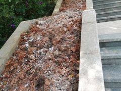 -广州国际生物岛山地公园揽胜园
