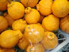 -百果园PAGODA(应元路店)