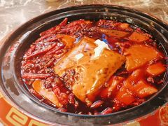 -蜀辣居鲜货老火锅(红牌楼店)