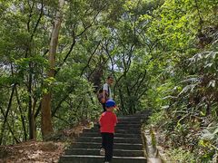 -火炉山森林公园