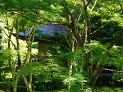 -三千院