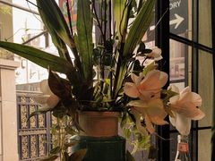 -SISTERS BAR RESTAURANT川意酒馆(嘉善老市H楼店)