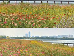 -海珠湖公园