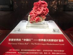 -湖南省地质博物馆