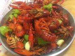-杨氏青龙虾·羊蝎子(托乐嘉店)