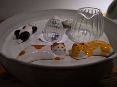 -猫里有甜