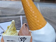 -野人先生现做冰淇淋(北京顺义祥云小镇店)