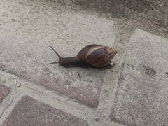 -南澳海滩