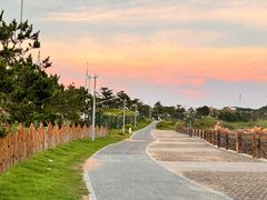 -第35届青岛国际啤酒节