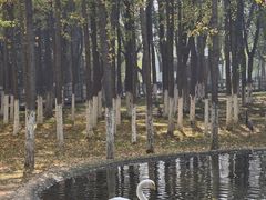 -艾溪湖湿地公园