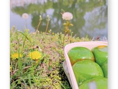 -你好独角兽·蛋糕甜品