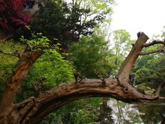 -南山植物园