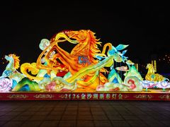 -金沙湖旅游度假区