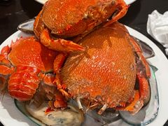 -青岛富力艾美酒店