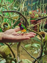 -Zoolung Zoolung动物主题公园(海信广场店)