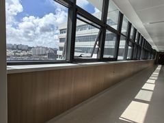 -山东大学齐鲁医院(青岛院区)