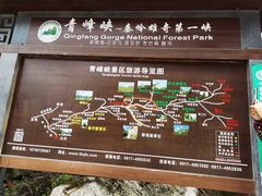 -青峰峡国家森林公园