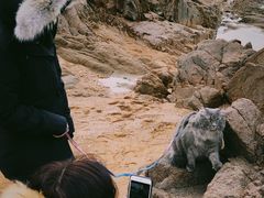 -青岛第二海水浴场