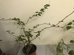 -山木培训(良乡校区)