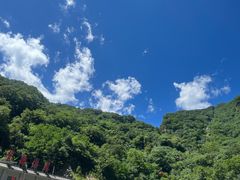 -牛背梁国家森林公园