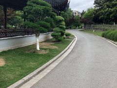 -花溪公园
