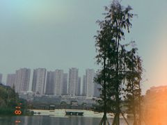 -重庆彩云湖湿地公园