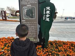 -武清南湖绿博园