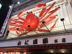 -蟹道乐(道顿堀本店)