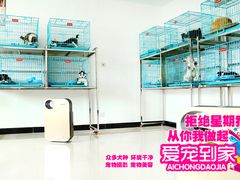 -翊宠yipet猫狗购宠庄园犬舍•猫舍