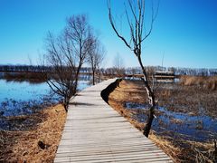 -野鸭湖国家湿地公园