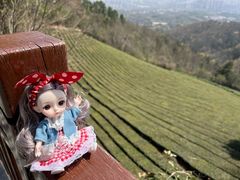 -敬亭山风景名胜区