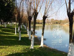 -艾溪湖湿地公园