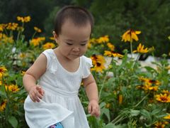 -紫海香堤香草艺术庄园