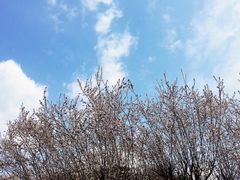 -四川农业大学(雅安校区)