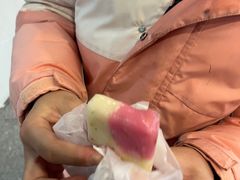 -鸡鸣汤包(红山动物园店)