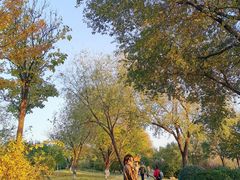 -永定河休闲森林公园