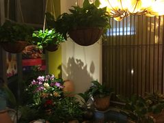 -润园四季椰子鸡火锅(海上世界店)