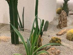 -OUR Bakery(SKP-S店)