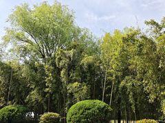 -春兰国宾馆(凤城河风景区老街店)