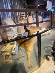 -酷嗒动物文化乐园(cutezoo西溪乐天城店)