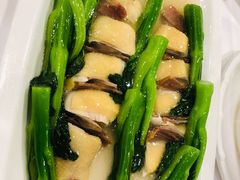 广州文昌鸡-广州酒家(文昌总店)