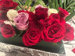 -弦月窗LUNETTE BY AMANDA(复兴路店)