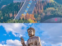 -龙口南山旅游景区