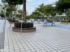 -深圳市宝安体育中心体育场