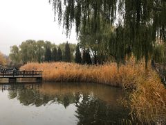-古塔公园