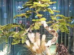 -渝乡辣婆婆·川菜 水煮鱼(中山西路店)