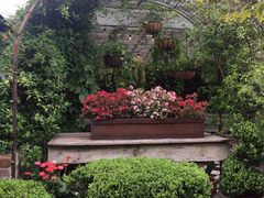 -The Grounds of Alexandria