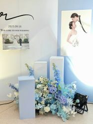 -Doris一站式游轮婚礼船东直营店(外滩店)