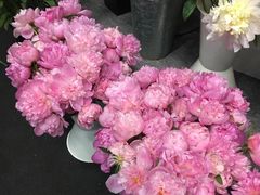 -中国电信(NJ鼓楼天翼广场店)